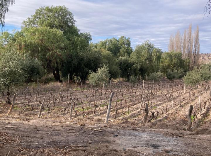 Terreno · 2540m²
