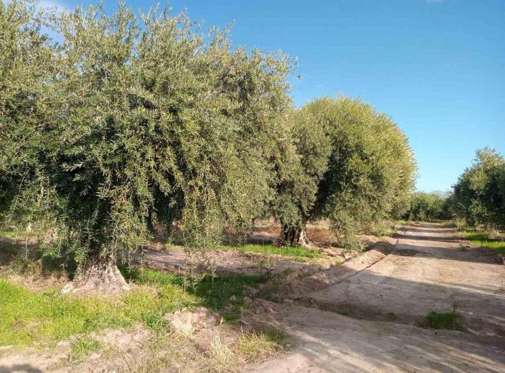 Terreno · 6673m²