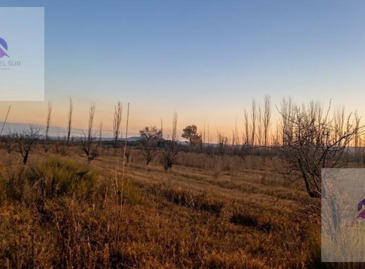 Campo · 30000m² · 2 Ambientes · 1 Cochera