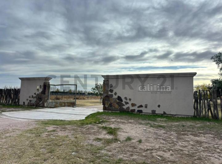 Campo · 27000m²