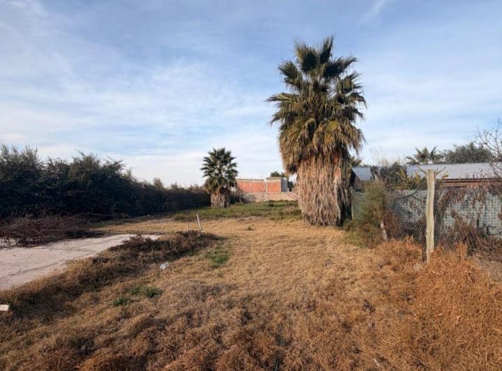 Terreno · 1150m²