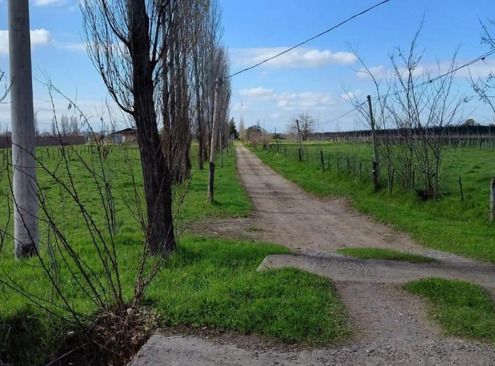Terreno · 5000m²