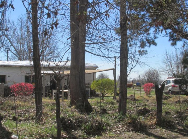 Campo · 2ha