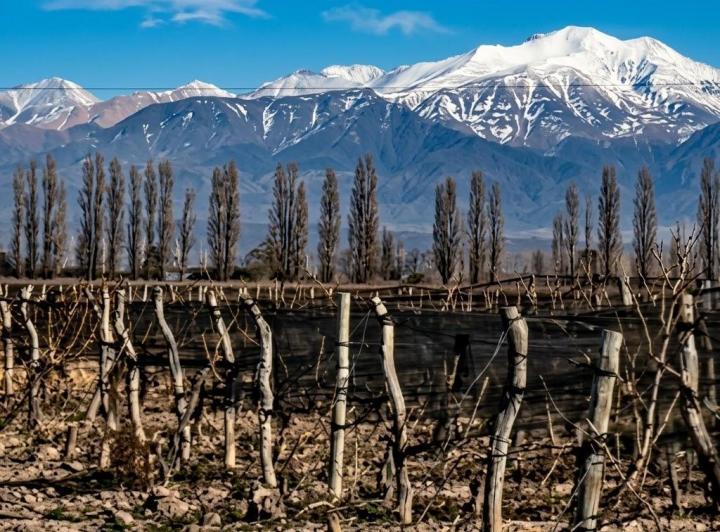 Campo · 53000m²