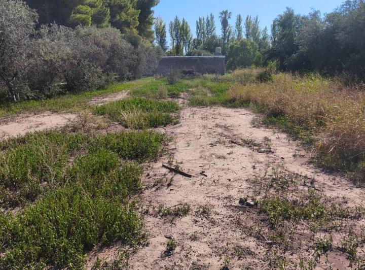 Terreno · 1531m²