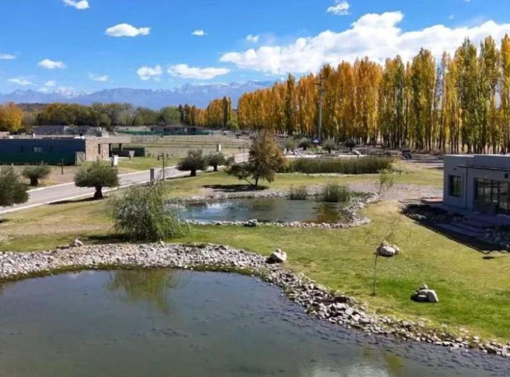 Terreno · 1000m²