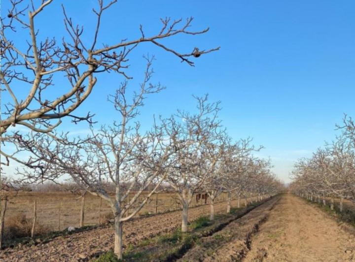Terreno · 52m²