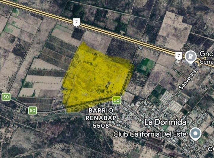 Campo · 275ha
