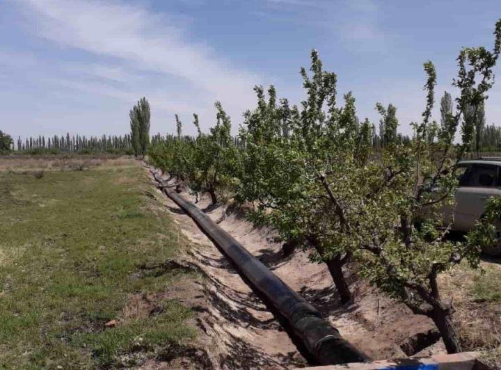 Campo · 15ha