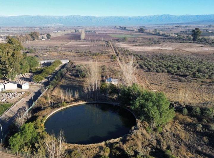 Campo · 18ha