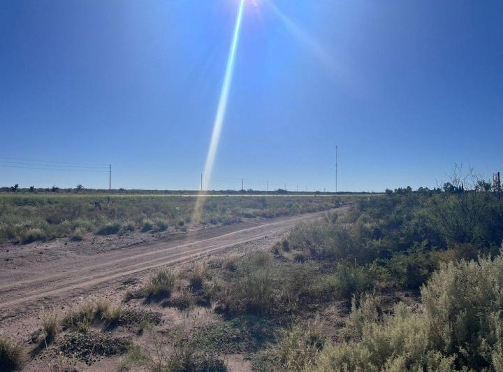 Campo · 13ha