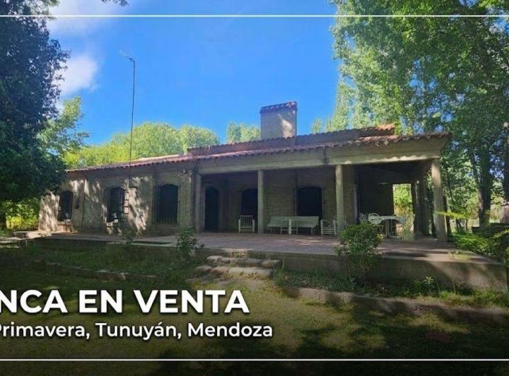 Campo · 94m²
