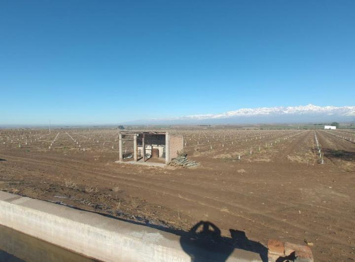 Terreno · 12ha