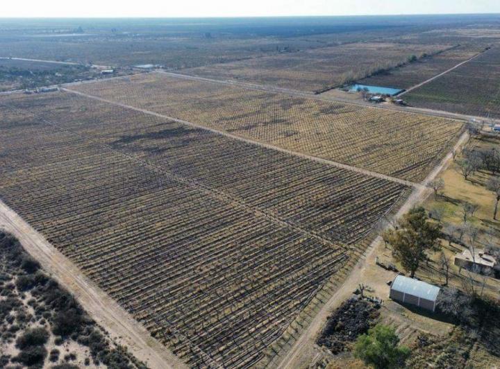 Campo · 59m²