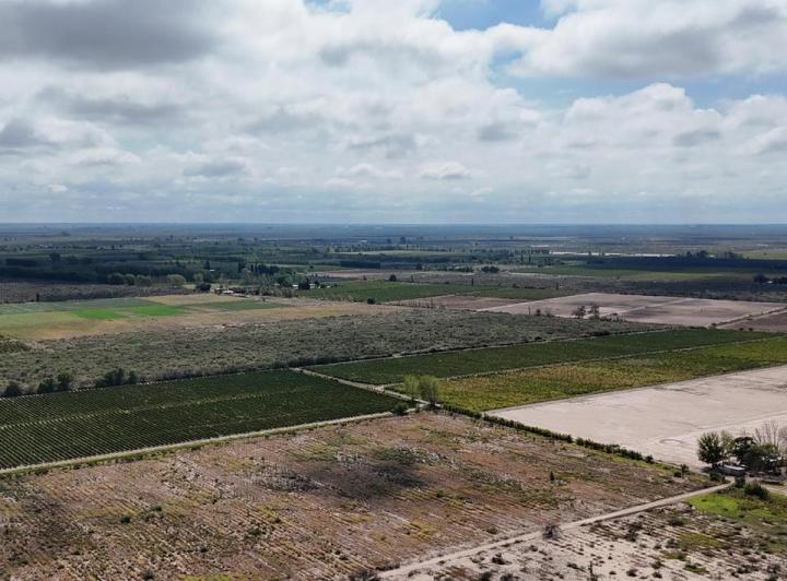 Campo · 400000ha