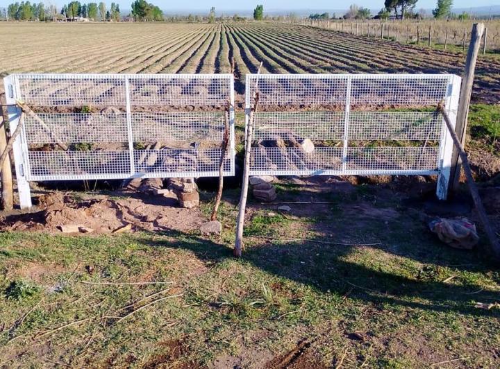 Campo · 45000m²