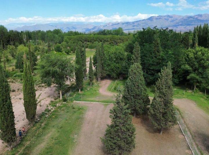 Terreno · 654m²