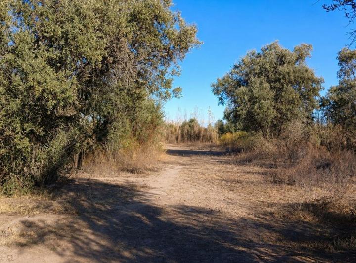 Terreno · 5933m²