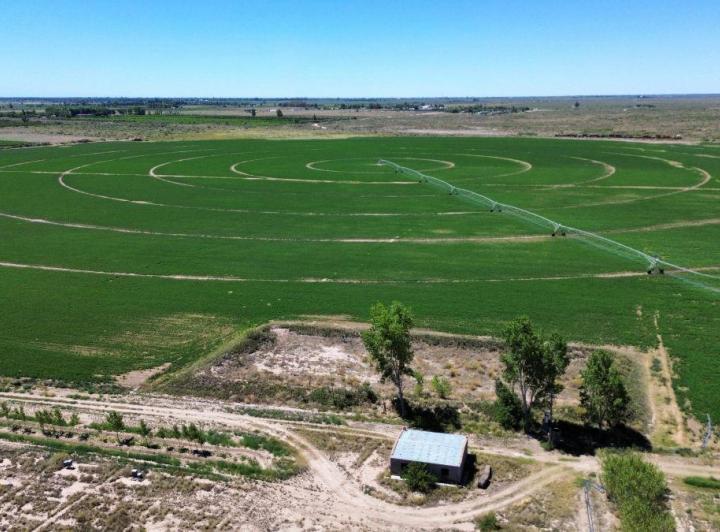 Campo · 360ha