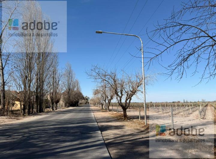 Campo · 4ha