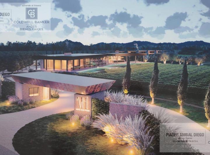 Campo · 55000m²