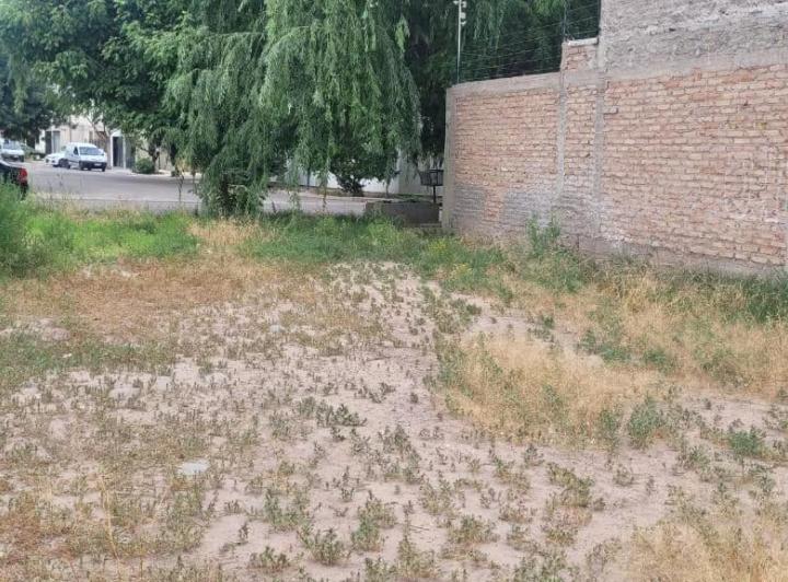 Terreno · 231m²