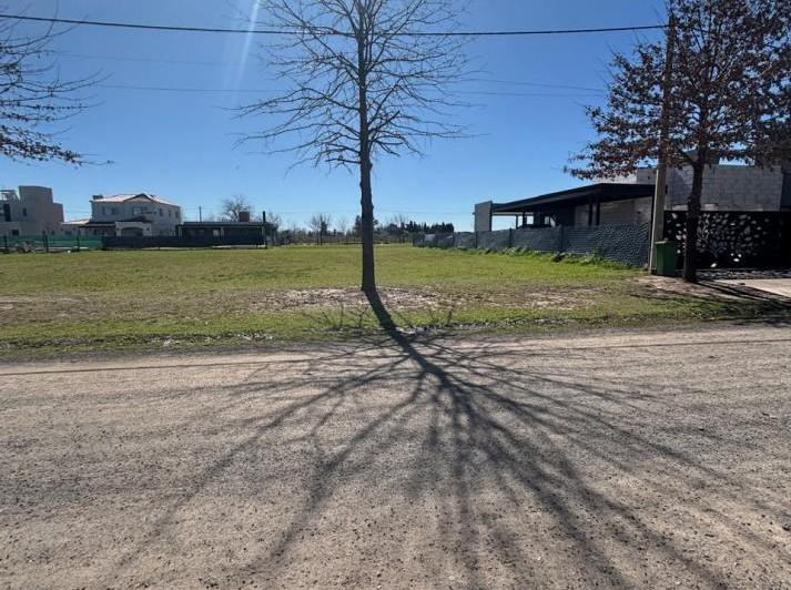 Terreno · 516m²