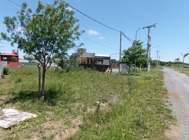 Terreno · 369m²