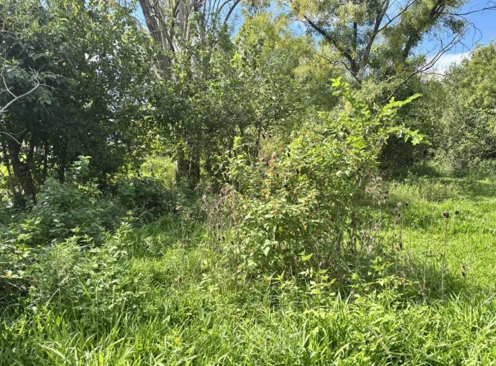 Terreno · 1054m²