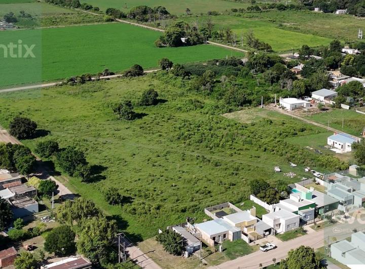 Terreno · 20200m²