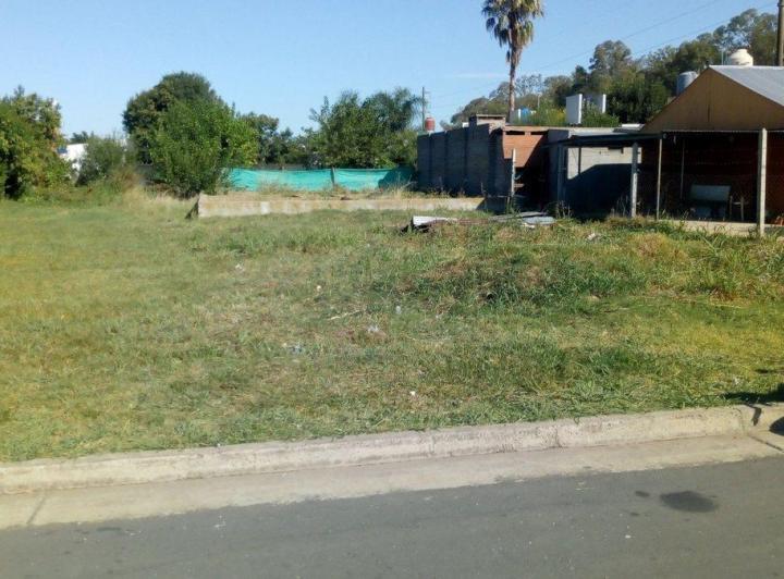 Terreno · 300ha