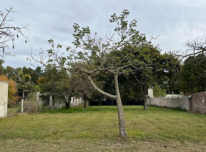 Terreno · 1300m²