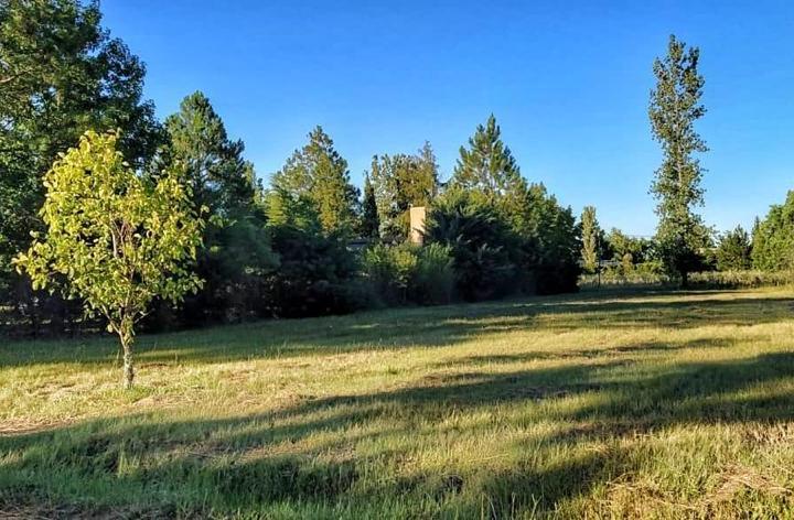 Terreno · 1200m²