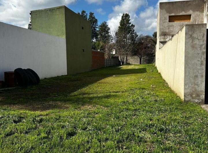 Terreno · 443m²
