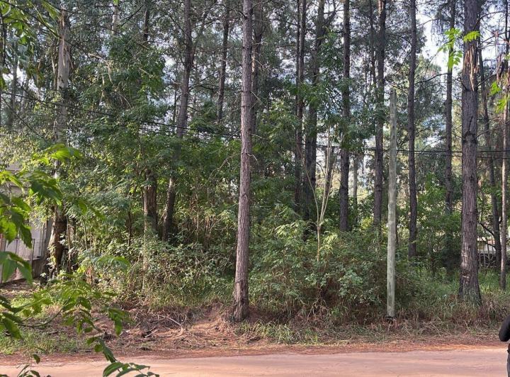 Terreno · 800m²