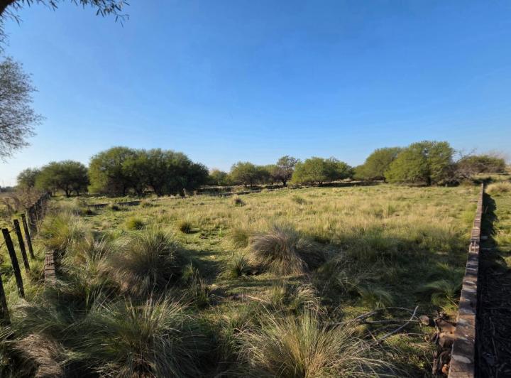 Terreno · 1100m²