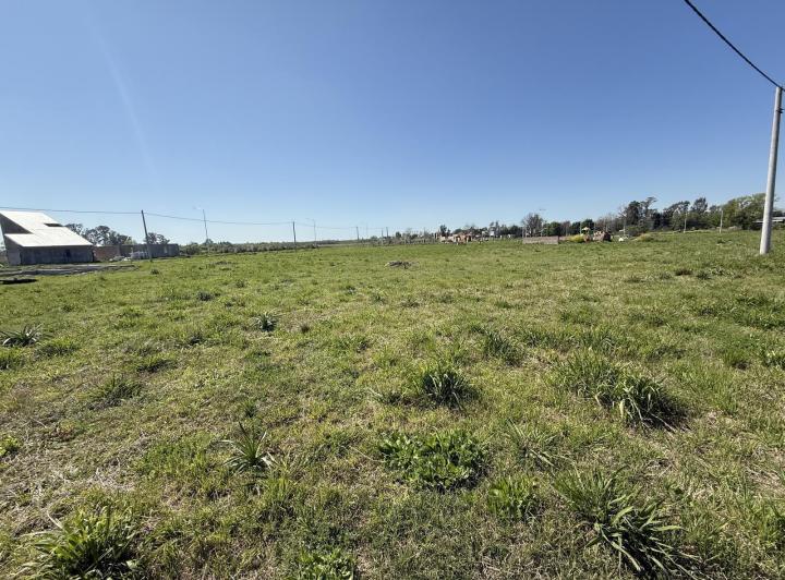 Terreno · 258m²