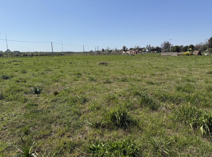 Terreno · 251m²