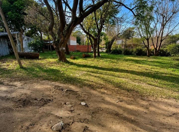 Terreno · 338m²