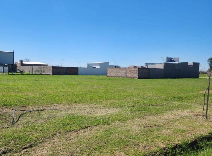 Terreno · 393m²