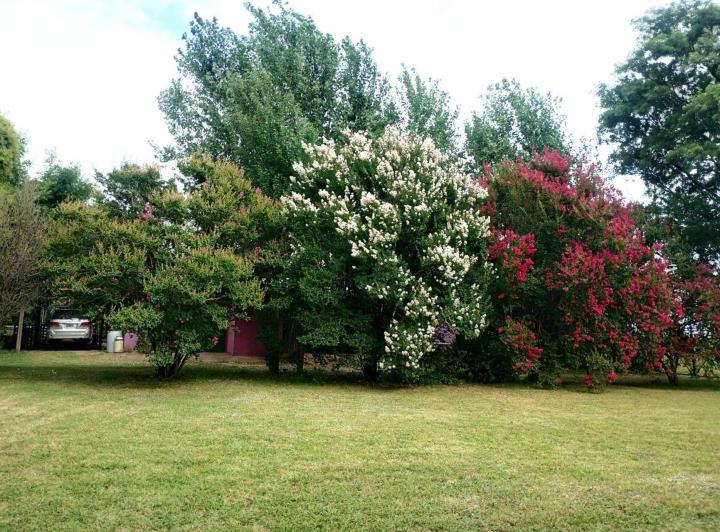 Terreno · 150m²