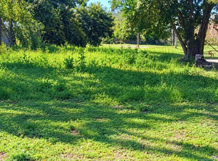 Terreno · 441m²