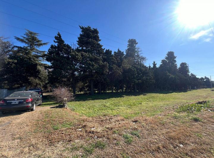 Terreno · 2726m²