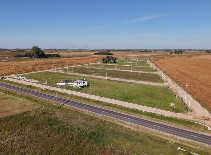 Terreno · 300m²