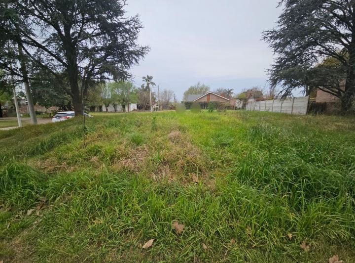 Terreno · 270m²