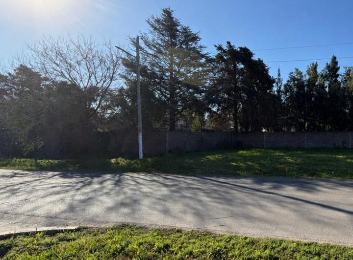 Terreno · 979m²