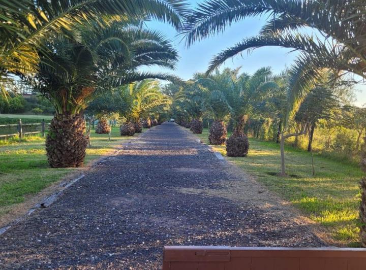 Terreno · 1146m²