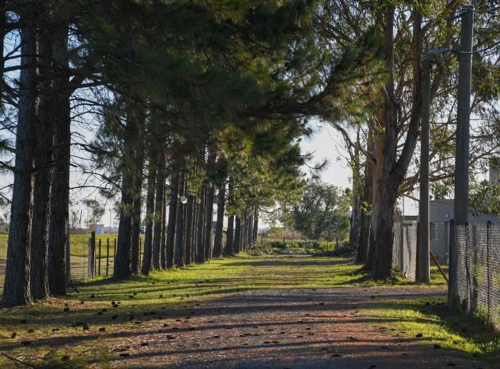 Terreno · 642m²