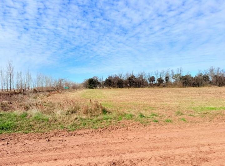 Terreno · 833m²