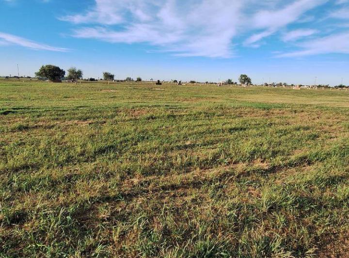 Terreno · 1000m²